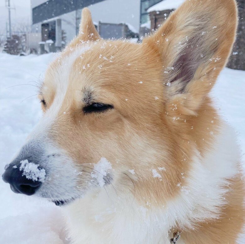 提供：むぎん家＠きよらさん