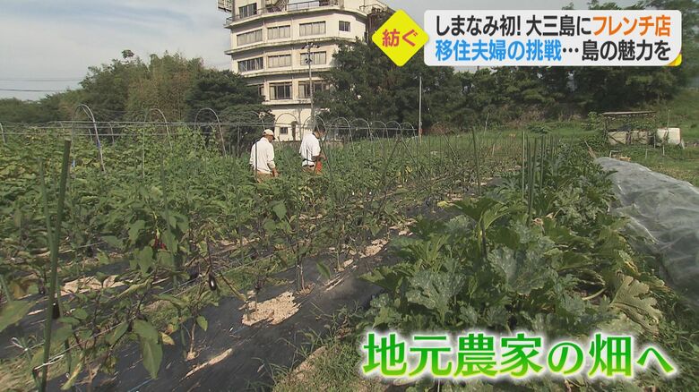 年間100種類もの野菜を育てる農家