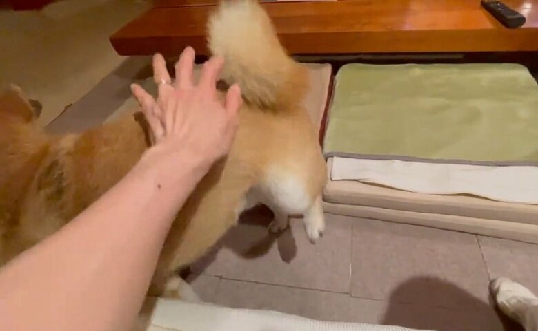 お。