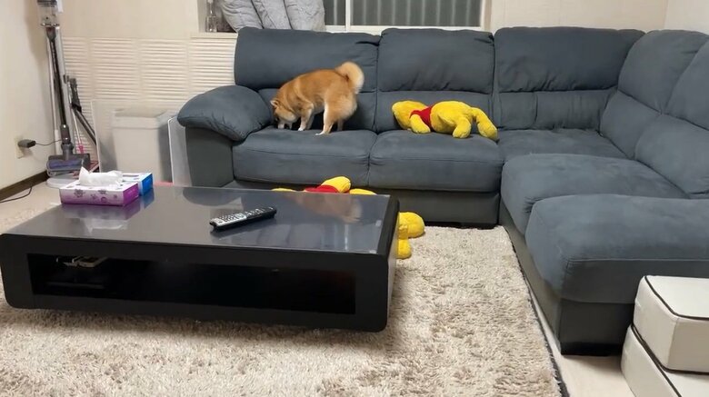 提供：うにandおからさん