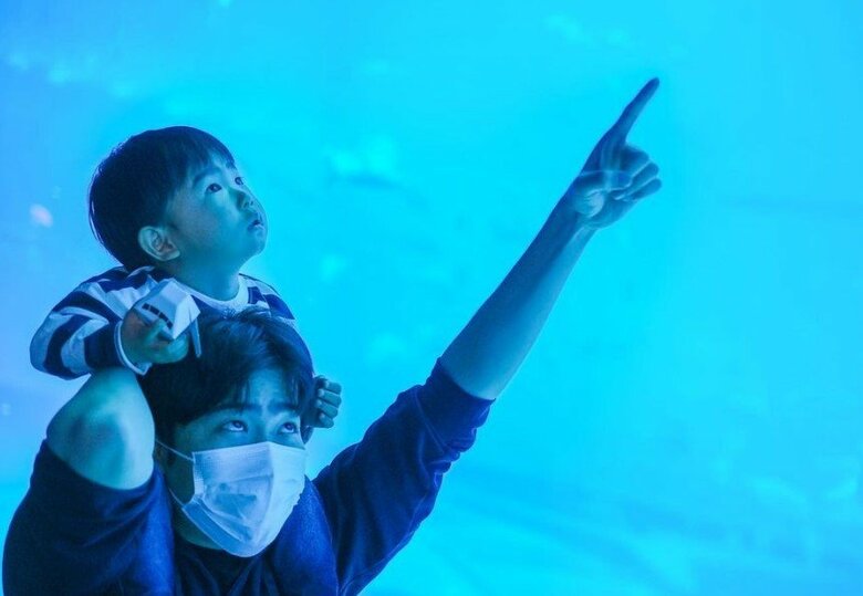 提供：今日のきょーちゃん