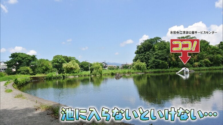 熊本市・「熊本市水前寺江津湖公園」　水前寺江津湖公園サービスセンター