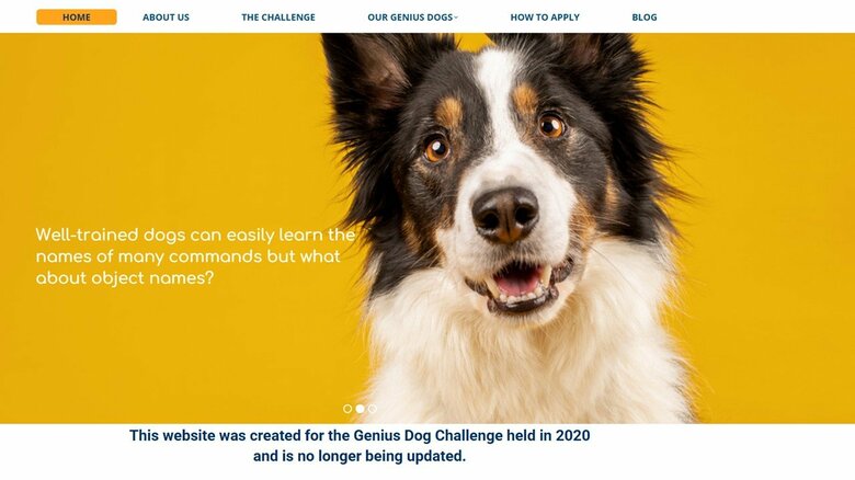 「geniusdogchallenge.com」ホームページより