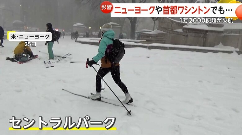 雪の週末を楽しんでいる人たちもみられたセントラルパーク