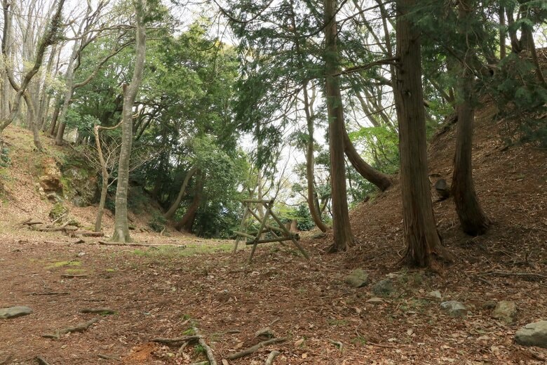 側面からみた大堀切。右上が本丸