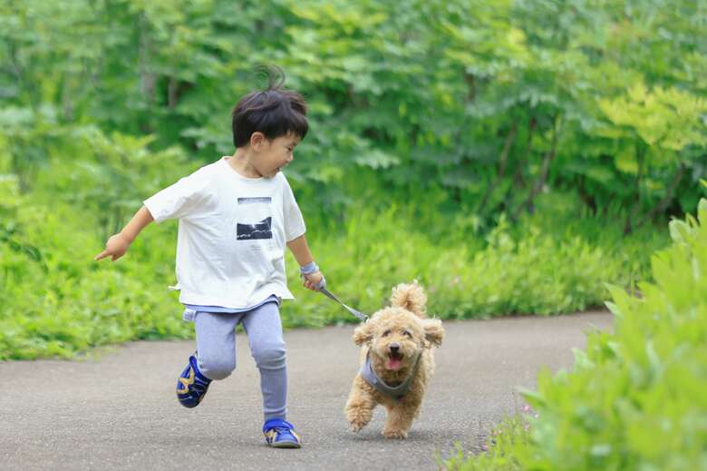 実際に撮影された家族写真（fotowa／mon arome cheri）