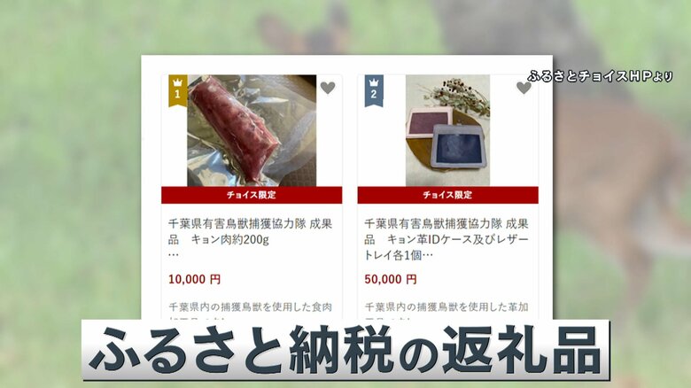 ふるさと納税サイトには、キョンの肉なども返礼品として掲載