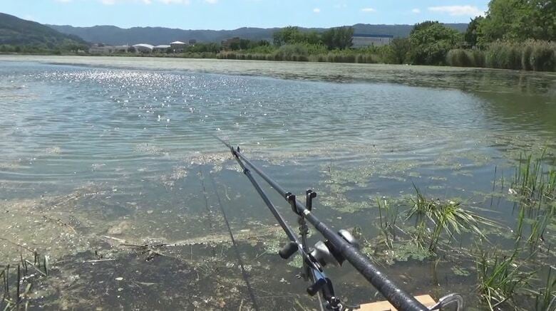 釣り人は…