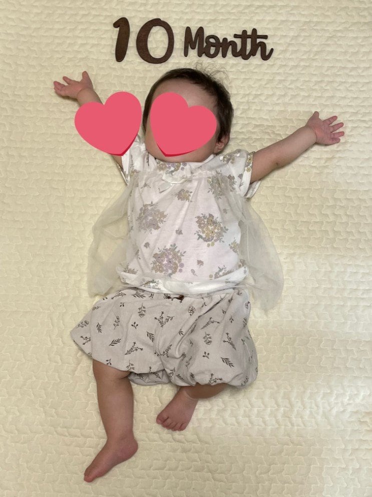 提供：ののさん