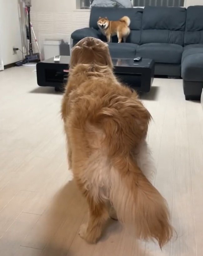 ニコッ…（提供：うにandおからさん）