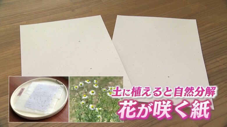 ディープな紙の世界