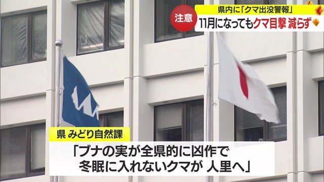 ブナの実凶作で冬眠に入れず人里に…