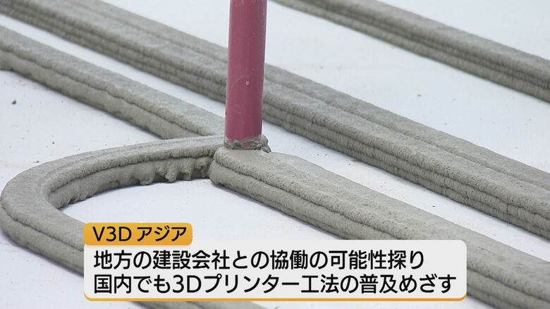 V3D アジアの今後の可能性は