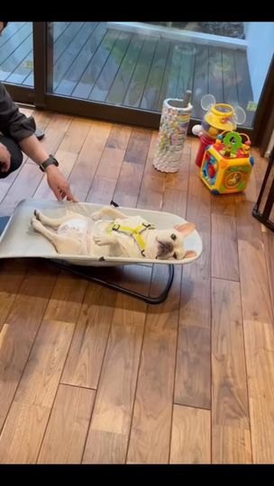 提供：むぎさん