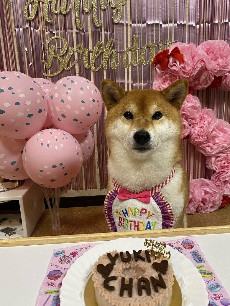 5歳の誕生日
