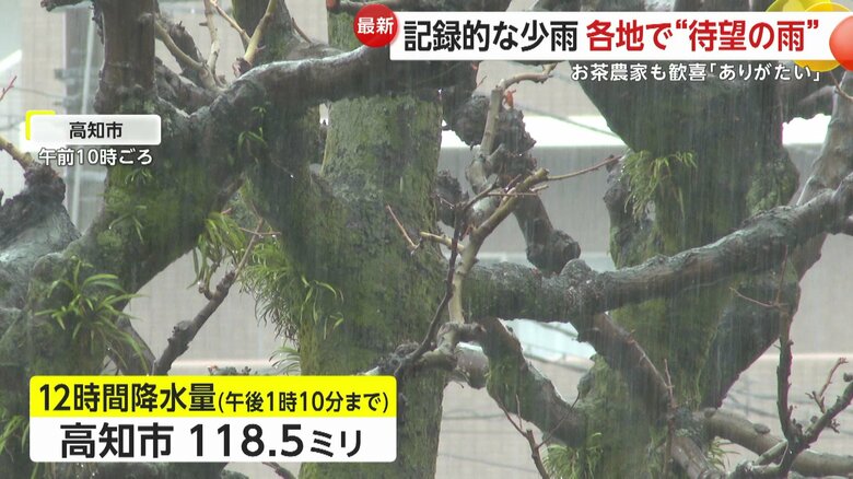 高知市も118.5mmの雨