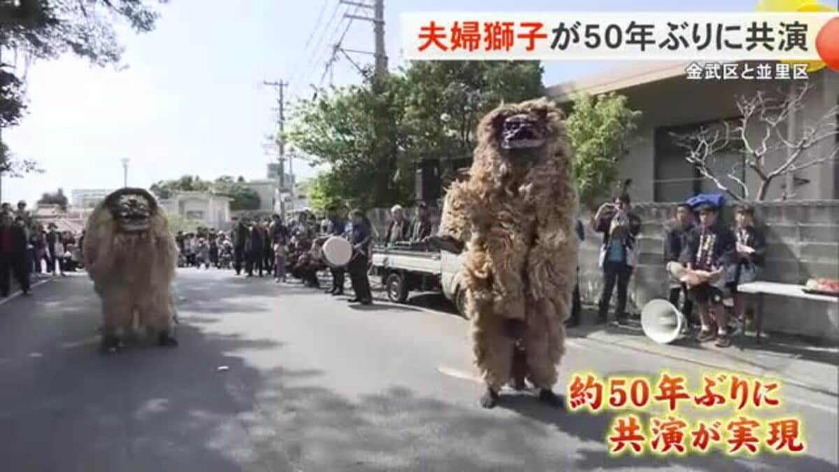 金武町の夫婦獅子が50年ぶりに共演！ 伝統復活に喜びの声｜FNNプライム