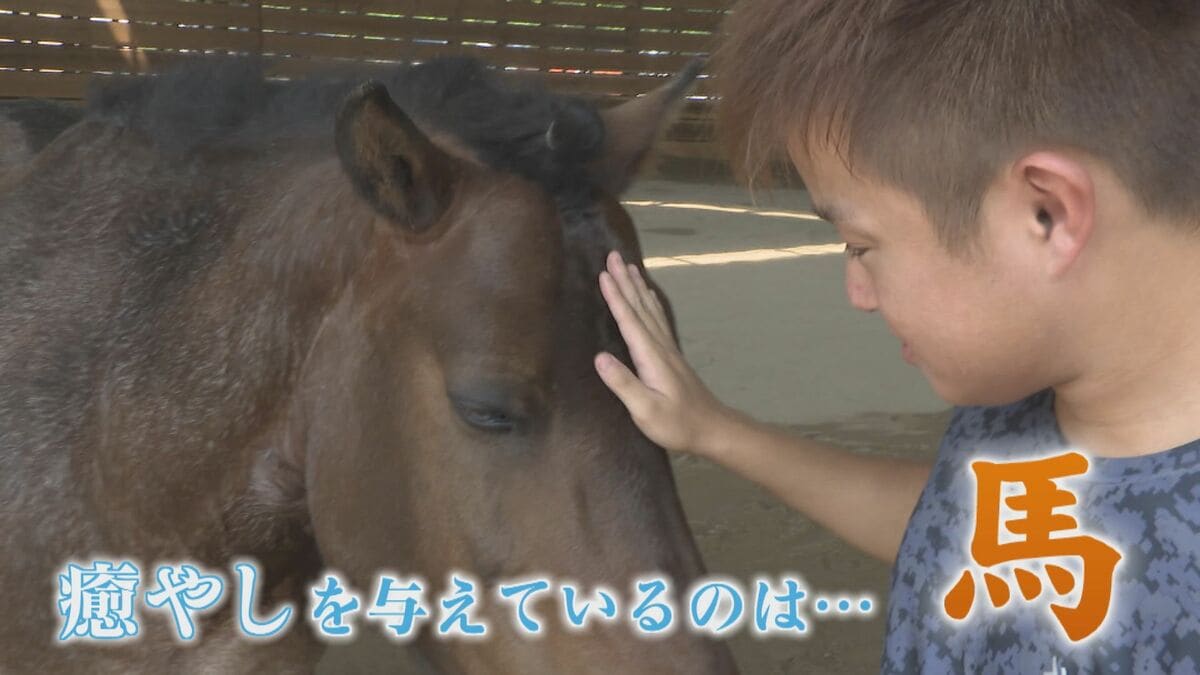 馬との触れ合いで心身を癒やす「ホースセラピー」 “心の健康”を 