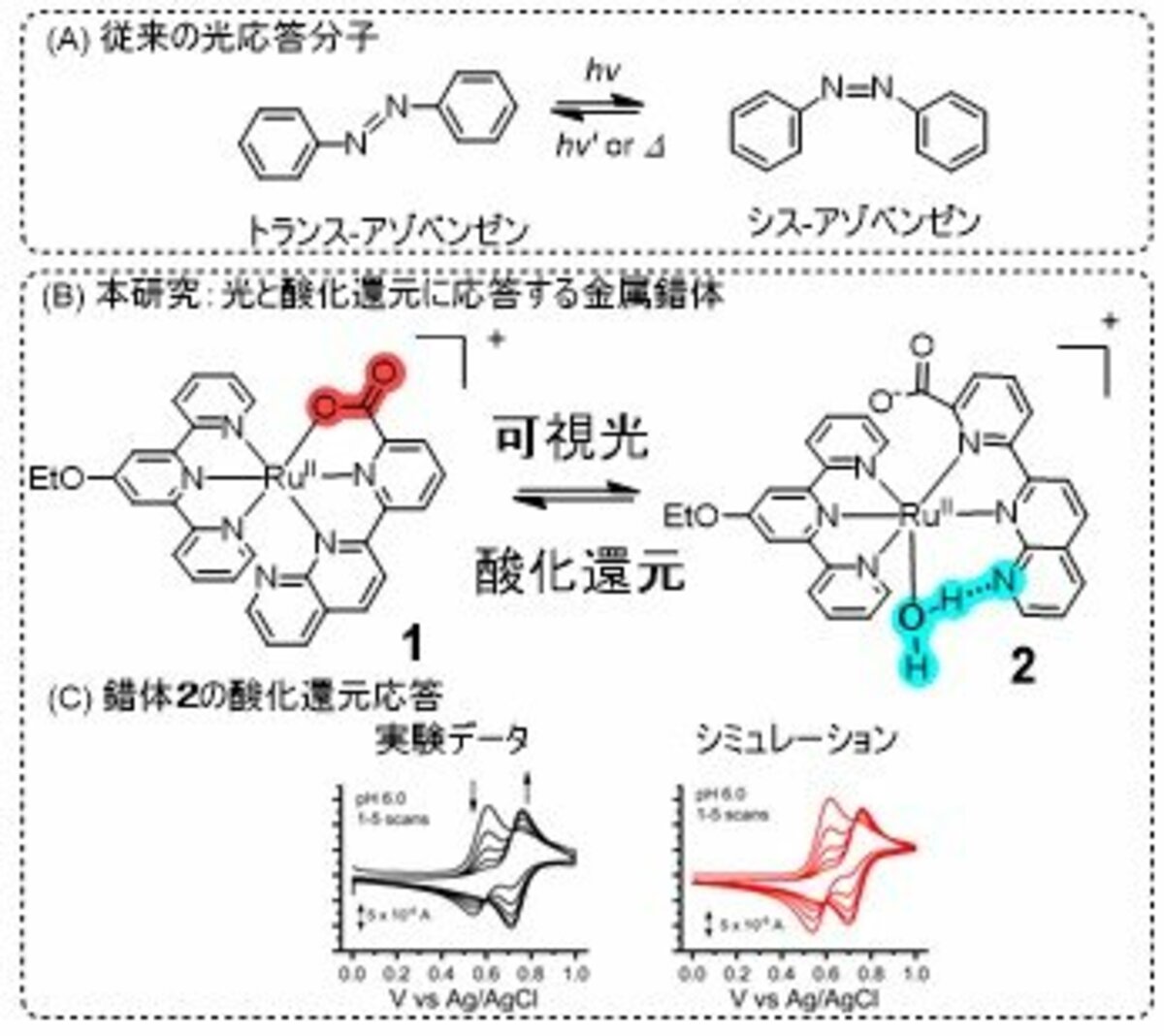 大阪工業大学】光と酸化還元に応答する分子明らかに