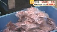 かつお節「三重苦」　原油高で加工業者が休業相次ぐ 　枕崎・指宿