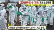 静岡で”豚熱”確認　食卓への影響は？流通量や価格はどうなる？　県「影響を与える規模ではない」　多くの養豚場で豚へのワクチンを接種済み