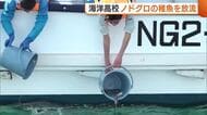 地域の特産に！海洋高校が高級魚“ノドグロ”の稚魚放流「水産資源増えたらうれしい」新潟・糸魚川市