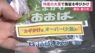 「鍵かけは“オーバー”に」警察官が特産品『大葉』を使って自転車の施錠を習慣にするよう呼びかけ 愛知県豊川市