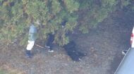 人に向かってきたクマ1頭を駆除 住宅敷地内にクマに襲われたとみられる身元不明の遺体発見 遺体の近くに死んだ飼い犬 岩手県一関市