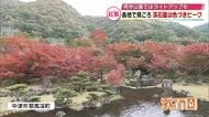 日本庭園で楽しめる紅葉　色づきピーク　外国人観光客「とても感動」寒気の流れ込みで更なる色づきも　大分