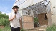 【ヒグマが養鶏場を襲撃】ニワトリ23羽の死骸が飼育棟で見つかる…行方不明になったものも含め計50羽近くが被害…去年10月にもニワトリが食べられる＜北海道岩見沢市＞