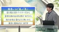 【天気／山形】天気ふりかえり＆稲妻はなぜ“稲”の“妻”？　中村友祐気象予報士の予報(1)