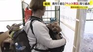 熊本地震10年　ペットを災害から守る取り組み　人と一緒に入れる「ペットシェルター」で日常と防災を両立へ　「車中泊」支援も課題　福岡
