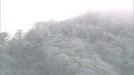 24日にかけ山間部で積雪か この冬一番の寒気で中國山地は雪化粧 扇ノ山は初冠雪(鳥取県?島根県)