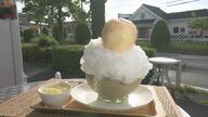 青果店に仰天かき氷　メロン半玉の器に桃が丸ごとのる「ももロン」2800円でも割安な高級フルーツ使用