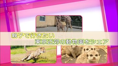 「チーターラン」で迫力の全力疾走を間近に! 可愛すぎる赤ちゃんたちも…親子で行きたい東京近郊の動物園