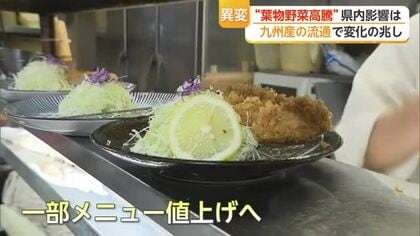 キャベツもレタスも高すぎる！葉物野菜の高騰続く 家計や飲食店に打撃も値下がりの兆し【佐賀県】