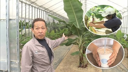 建設会社社長が若者の“居場所づくり”　本業に加えバナナ栽培やカフェ出店も【静岡発】