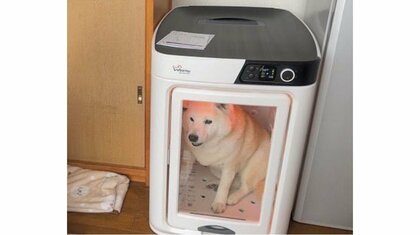 “犬用乾燥機”を初体験の柴犬…終わるとホッとして寝ちゃう姿も可愛い！状況を飼い主に聞いてみた