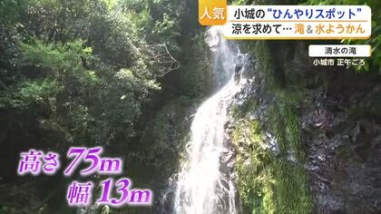 「まさに天然のクーラー」清水の滝に涼求める人　水ようかんも人気【佐賀県】