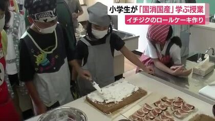 “国消国産”を 小学生が地元でとれたイチジクのロールケーキ作り
