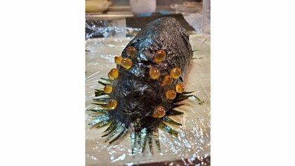 イクラ好きの3歳甥っ子に作ったナウシカ“王蟲寿司”…リアルすぎて嫌いになってない?反応を聞いた