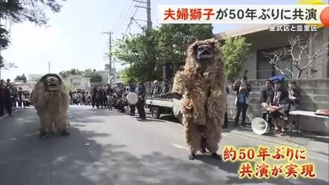 金武町の夫婦獅子が50年ぶりに共演！　伝統復活に喜びの声