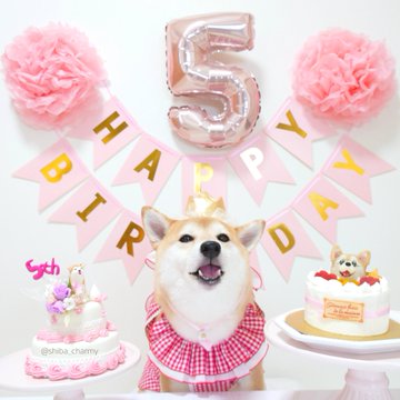 18日 ケーキと一緒に5歳の誕生日の記念撮影
