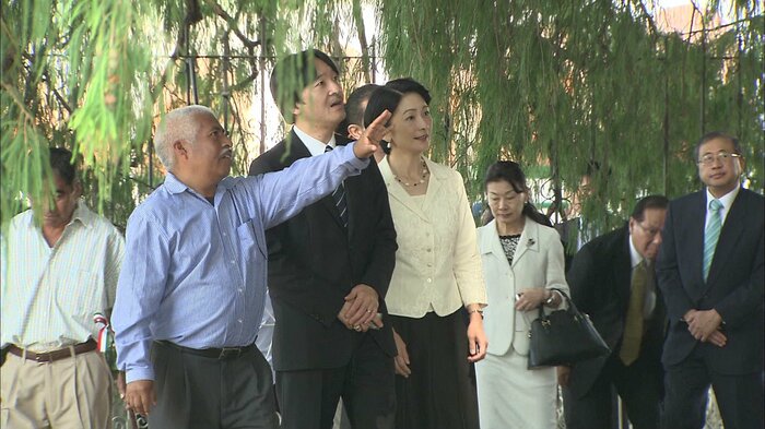 トゥーレの木をご覧になる秋篠宮ご夫妻