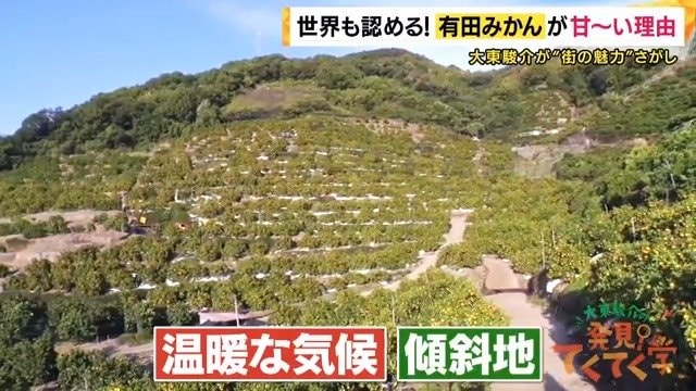 温暖な気候で日照時間も長い