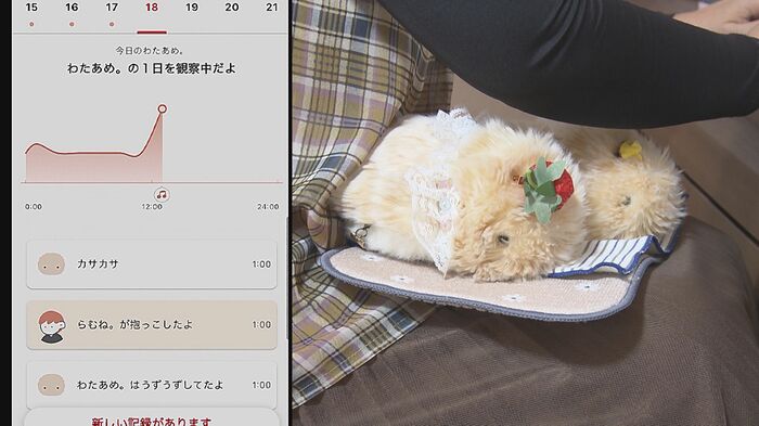 ニュースONE