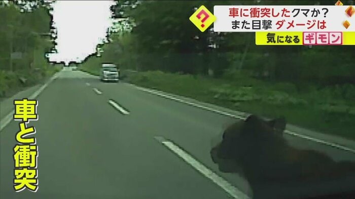 (視聴者撮影)