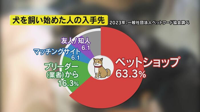 犬を飼い始めた人の入手先