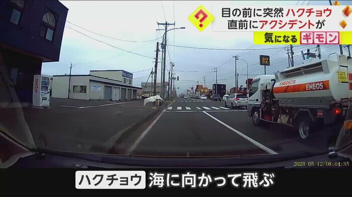 (FNN投稿サイト「ビデオPost」)