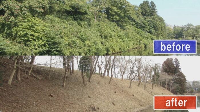 長沼の「東丸土塁」(上)2020年8月撮影 (下)2023年2月撮影 整備によって土塁の形が分かるように